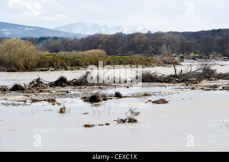 River Spey in spate and flooding at Garmouth, Scotland in April 2010 due to heavy snow melt.  Snow on Ben Rinnes in background. Stock Photo