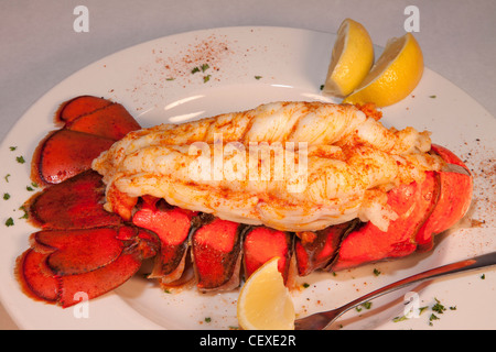 Lobster tail dinner on platter E USA Stock Photo