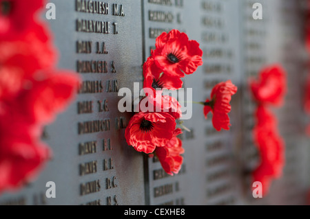 Poppies pinned next to the names of fallen loved ones on the Australian War Memorial in Canberra Australia Stock Photo