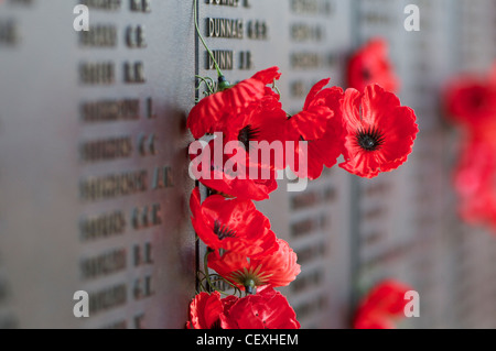 Poppies pinned next to the names of fallen loved ones on the Australian War Memorial in Canberra Australia Stock Photo