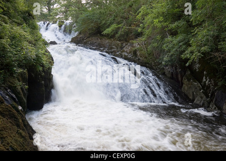 Swallow Falls Flowing in Full Spate on Afon Llugwy River, Snowdonia National Park, Betws y Coed, Gwynedd, North Wales, UK Stock Photo