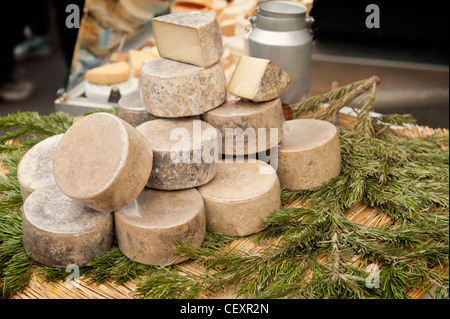 Display of GRAND CAUSSES CHEESE at a market stall on a pine branch and canvas bag. Borough Market London UK Stock Photo