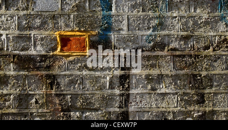a brick wall with graffiti with one brick different from the others Stock Photo