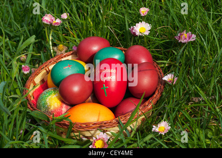 Colorful Easter eggs in a container, posed on green spring grass with flowers Stock Photo