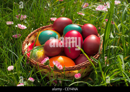 Easter eggs in a wicker basket, posed on green grass, spring flowers around Stock Photo
