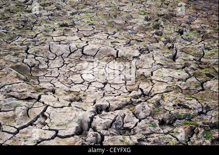 Dry cracking clay soil lake bed in the indian countryside Stock Photo