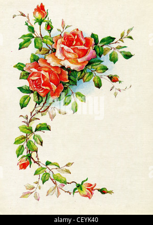 USSR - CIRCA 1989: Postcard shows draw by artist Bodrihina - Roses, circa 1989 Stock Photo