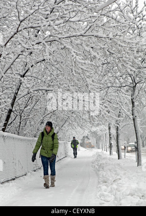 A woman walks along a snow covered woods in Milwaukee, Wisconsin. Stock Photo