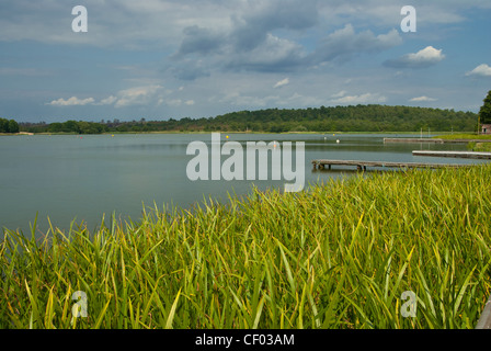 Frensham Great Pond in Surrey Stock Photo