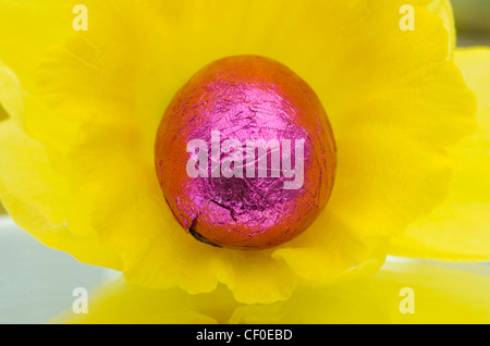 Coloured foil wrapped mini Easter eggs framed by a Daffodil Stock Photo