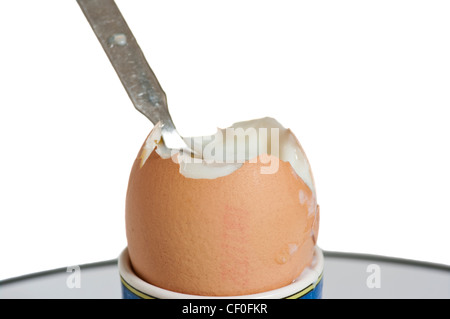 Boiled Egg In An Eggcup With A Spoon Stock Photo