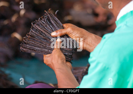 Preparation of vanilla in a factory in Antalaha, eastern Madagascar Stock Photo