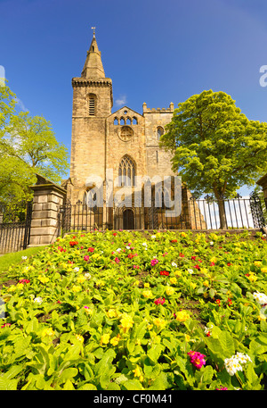 Dunfermline Abbey in the Spring Stock Photo