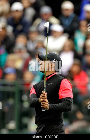 TIGER WOODS US GOLFER Stock Photo