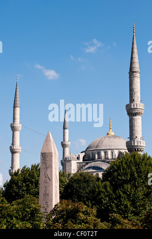 The Blue Mosque viewed from the Museum of Turkish and Islamic Arts, Sultanahmet, Istanbul, Turkey Stock Photo