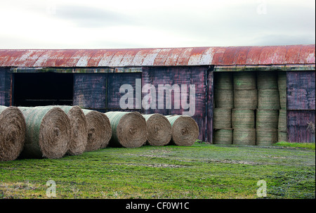 Hay storage barn.UK Stock Photo