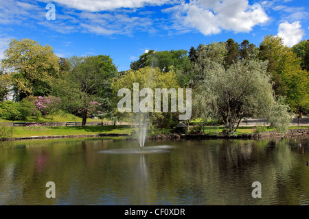 View over the lake in Nygardsparken gardens, Bergen City, Hordaland region, Norway, Scandinavia Europe Stock Photo