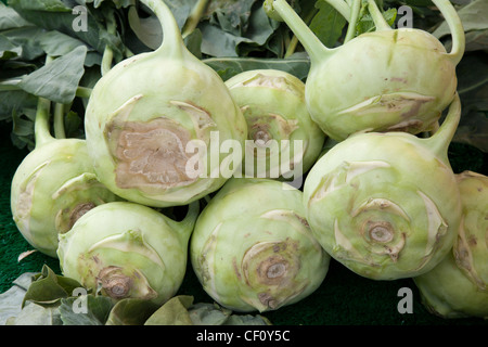 Kohlrabi, German Turnip Stock Photo