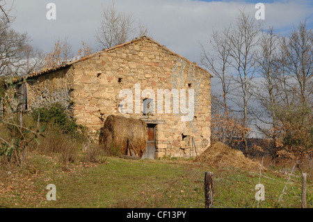 seen on an old farm in Basilicata,  southern Italy Stock Photo