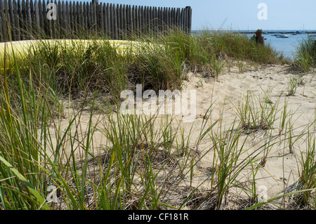 A yellow canoe sits on a beach beside a wooden fence Stock Photo