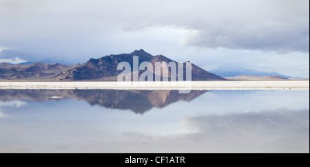 reflection of distant mountains in a pool in the Bonneville Salt Flats Stock Photo
