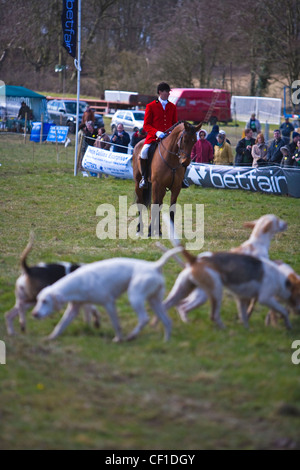 The master of foxhounds and foxhounds at the 2010 Betfair Lambourn Open Day. Stock Photo
