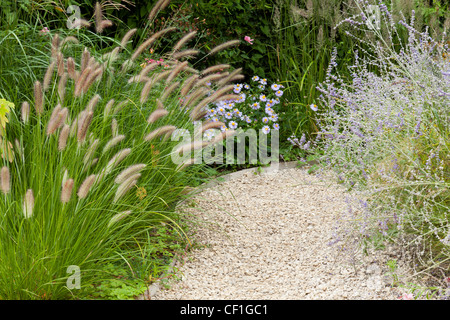 gravel and path lined with Pennisetum, Aster, russian sage (Perovskia) at the Festival des Jardins de Chaumont-sur-Loire. Stock Photo