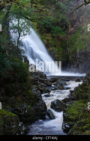 Pistyll Cain (Cain's waterspout) in the Coed y Brenin Forest. Stock Photo