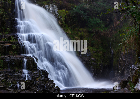 Pistyll Cain (Cain's waterspout) in the Coed y Brenin Forest. Stock Photo