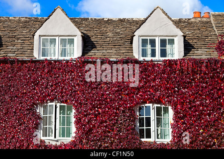 Ivy-covered house in Broad Street during autumn. Stock Photo