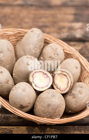 Seed potatoes, Solanum tuberosum 'Shetland Black', in a basket Stock Photo