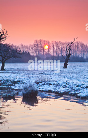 Sun rising behind line of trees on frosty Cotswold winter morning on the River Thames at Lechlade, Gloucestershire, England, UK Stock Photo
