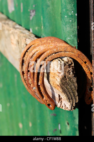 Horse shoes hang from a wood fence Stock Photo - Alamy