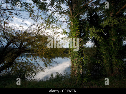 The sky and clouds are reflected in the water on a lake as the sun sets with ivy covered tree trunks lit by flash in front Stock Photo