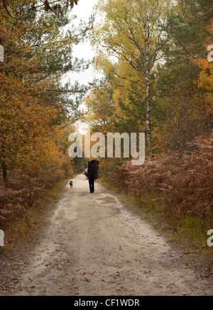 A man and a dog walk down a sandy path in an autumn forest with a bouldering mat at the end of a days climbing in Fontainebleau. Stock Photo