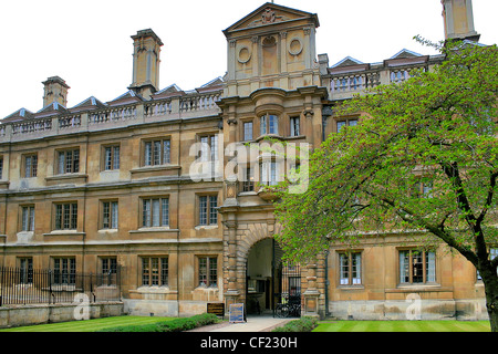 Spring Cherry tree in a courtyard at Clare College University City of Cambridge, Cambridgeshire, England, UK Stock Photo