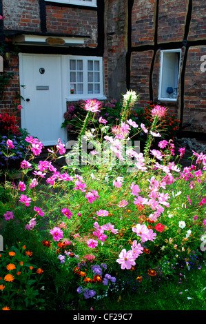 Flowers in the sun outside traditional cottage. Turville is Anglo Saxon meaning 'dry field'. Stock Photo