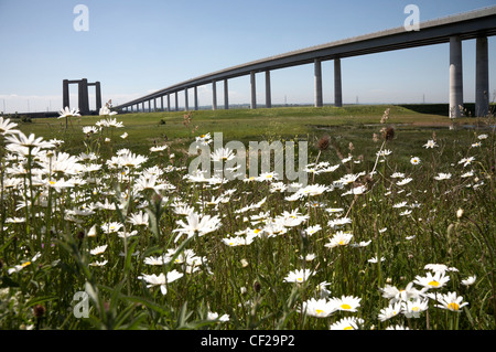 The Sheppey Crossing opened in 2006 over the River Swale, connecting the Isle of Sheppey in the Thames Estuary to mainland Kent. Stock Photo