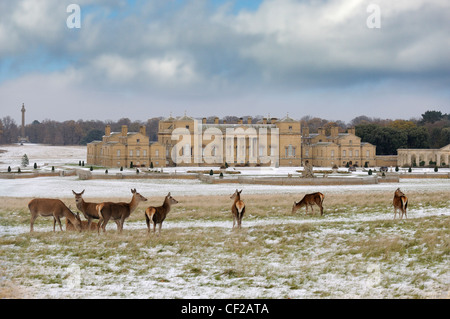 Holkham Hall and estate after a snowfall, with deer in foreground. Stock Photo
