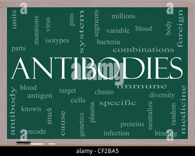 Antibodies Word Cloud Concept on a Chalkboard with great terms such as bacteria, system immunie, plasma, protein and more Stock Photo