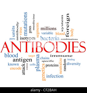 Antibodies Word Cloud Concept with great terms such as genes, bacteria, system immunie, plasma, proteins, genetics and more. Stock Photo