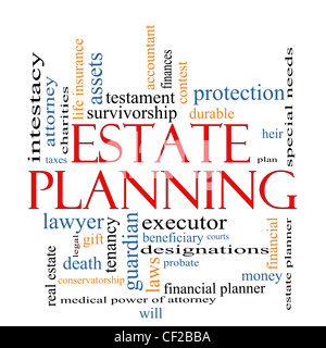 Estate Planning Word Cloud Concept with great terms such as , tenancy, durable, will, financials, lawyer, executor, probate Stock Photo