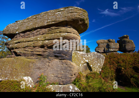 Baboon Rock at Brimham Rocks on Brimham Moor. The millstone grit rocks have been eroded over the centuries to form interesting a Stock Photo