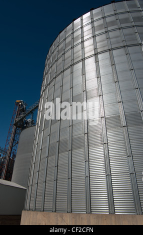 Large Grain Elevators Stock Photo