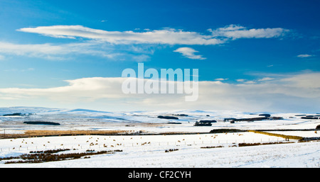 Typical Northumberland scenery near the village of Otterburn, transformed after a winter snowfall. Stock Photo