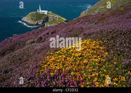 South Stack lighthouse on the north west coast of Anglesey guarding the entrance to the port of Holyhead. Stock Photo