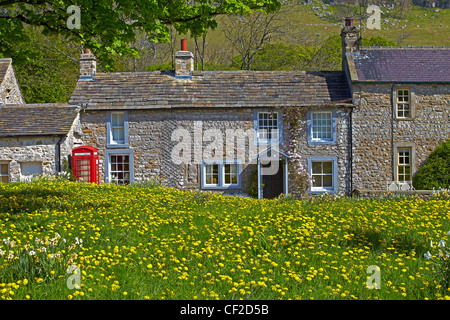 Stone houses by a dandelion covered village green at Arncliffe.
