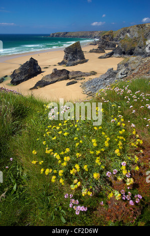 Rock stacks on the beach at Bedruthan Steps on the Cornish coast. Stock Photo