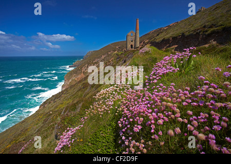 Towanroath Pumping Engine House at  Wheal Coates, a former tin mine situated on the north coast of Cornwall. Stock Photo