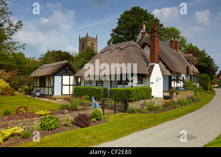 Ten Penny cottage, a traditional thatched cottage on Boat Lane with the tower of St Peter's Church in the background. Stock Photo